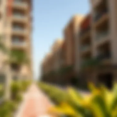 Vibrant Community in Dubai A vibrant neighborhood in Dubai with community amenities