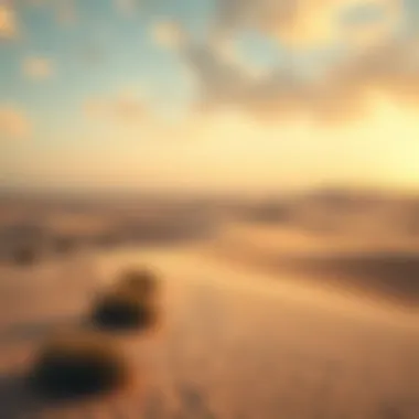 Seasonal Variations in the Dubai Desert A picturesque scene of the Dubai desert showcasing seasonal variations