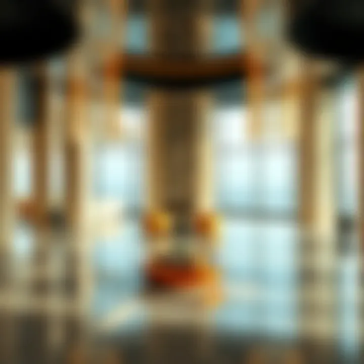 Interior amenities showcasing luxury living in Al Ittihad Tower