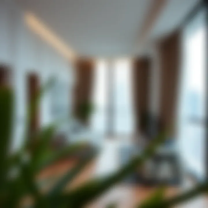 Understanding Studio Apartments: A Comprehensive Overview Summary