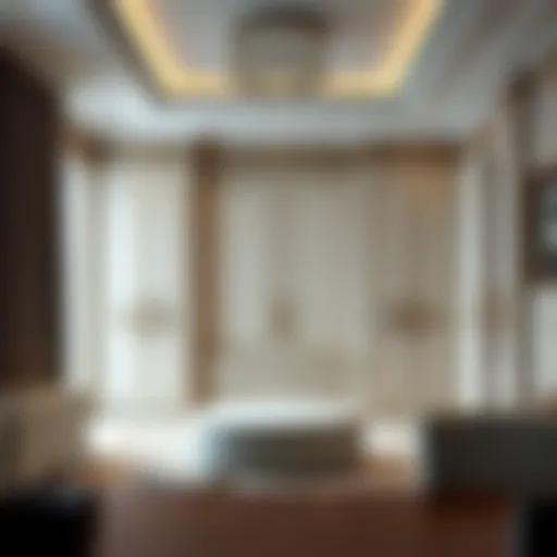 Elegant modern wardrobe design with intricate detailing