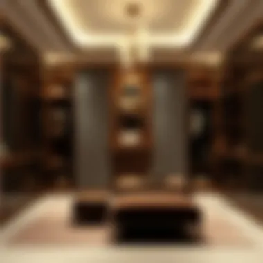 Luxurious Wardrobe Interior Luxurious wardrobe interior highlighting personal style and aesthetics