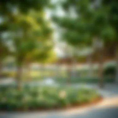 Community Park in Uptown Dubai A picturesque park setting in Uptown Dubai, highlighting community spaces